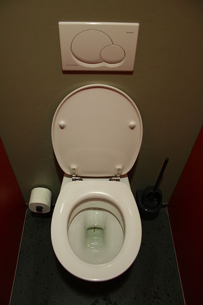 Toilets Around The World Terrys Plumbing