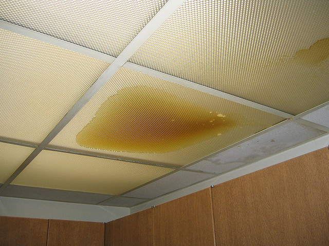 Water Leaking From Ceiling Below Bathroom Shelly Lighting